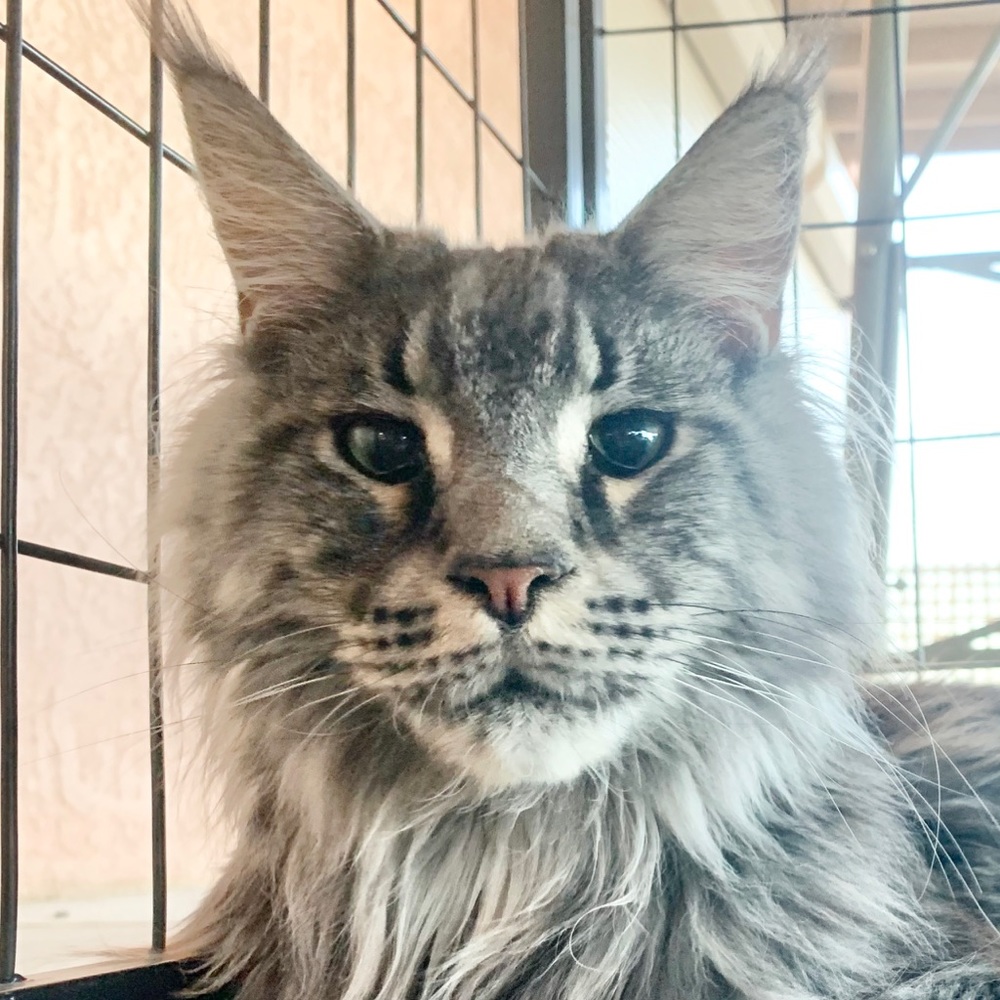 Meet your Posher, Doreena